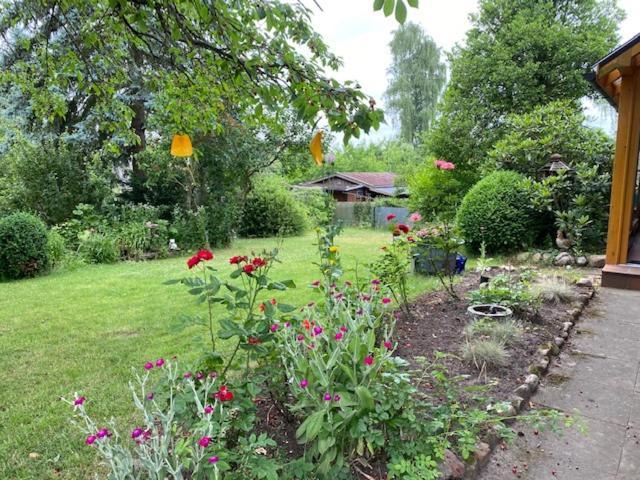 Ferienwohnung Wegener Neetze 外观 照片