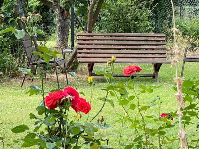 Ferienwohnung Wegener Neetze 外观 照片